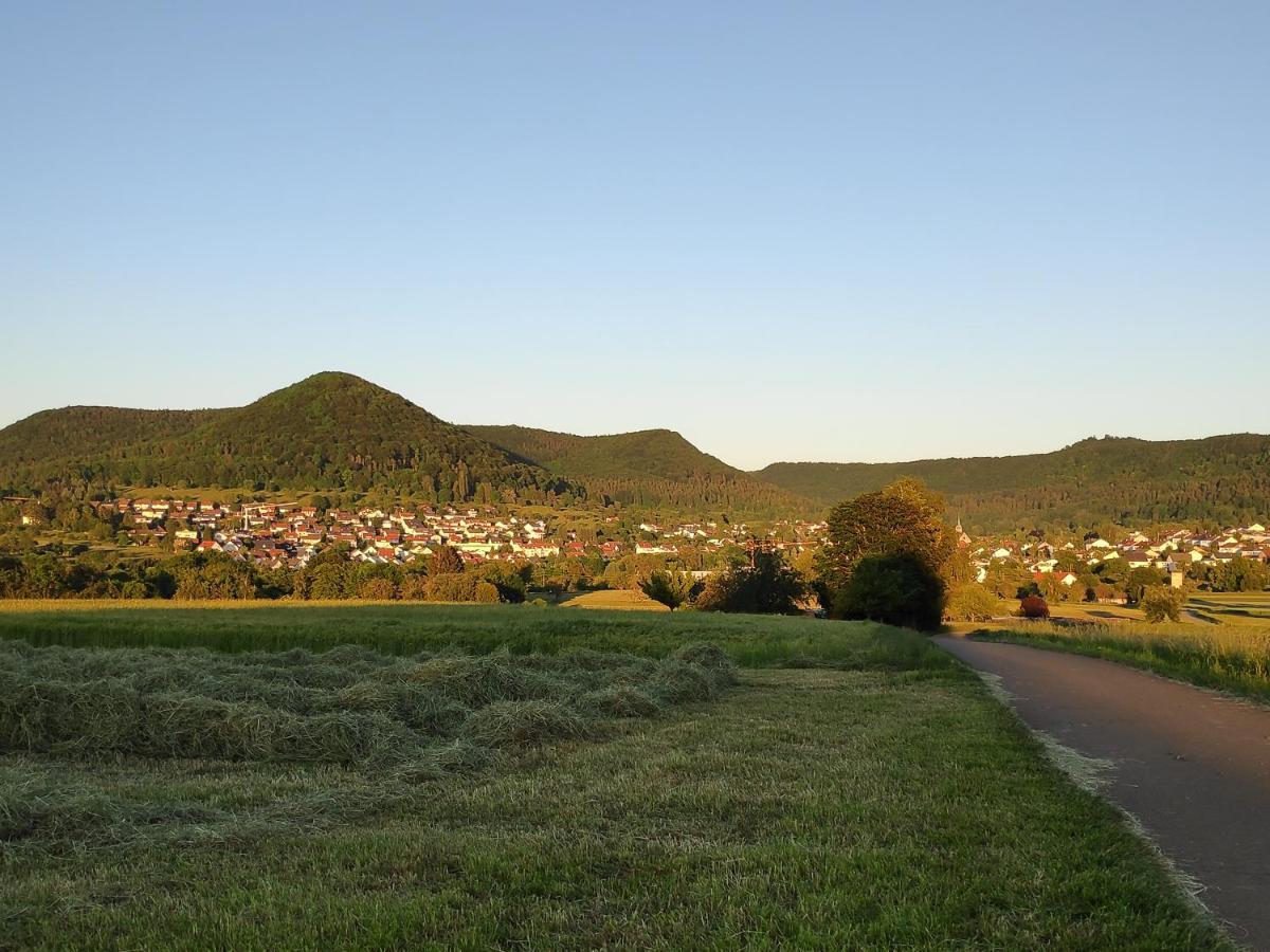 Ferienwohnungen Und Zimmer In Reutlingen-Goenningen المظهر الخارجي الصورة